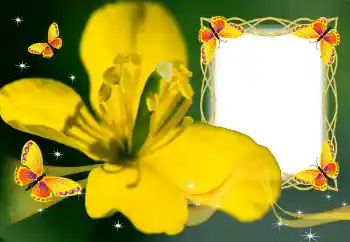 Fotoeffekt aus der Kategorie Fotorahmen für Frauen № 132883