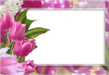 Fotoeffekt aus der Kategorie Fotorahmen für Frauen № 133077 Fotoeffekt aus der Kategorie Fotorahmen für Frauen № 133077