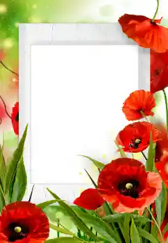 Fotoeffekt aus der Kategorie Fotorahmen für Frauen № 133252 Fotoeffekt aus der Kategorie Fotorahmen für Frauen № 133252
