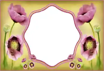 Fotoeffekt aus der Kategorie Fotorahmen für Frauen № 135508 Fotoeffekt aus der Kategorie Fotorahmen für Frauen № 135508