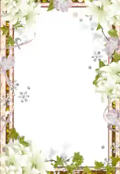 Fotoeffekt aus der Kategorie Fotorahmen für Frauen № 139915