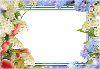 Fotoeffekt aus der Kategorie Fotorahmen für Frauen № 141146