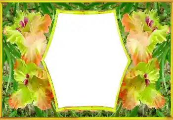 Fotoeffekt aus der Kategorie Fotorahmen für Frauen № 143517