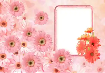 Fotoeffekt aus der Kategorie Fotorahmen für Frauen № 143633