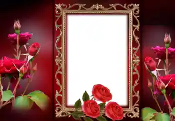 Fotoeffekt aus der Kategorie Fotorahmen für Frauen № 143757