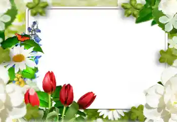 Fotoeffekt aus der Kategorie Fotorahmen für Frauen № 143811