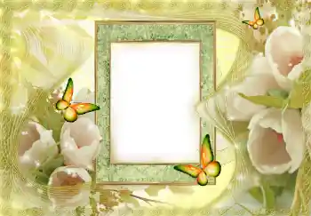 Fotoeffekt aus der Kategorie Fotorahmen für Frauen № 144841