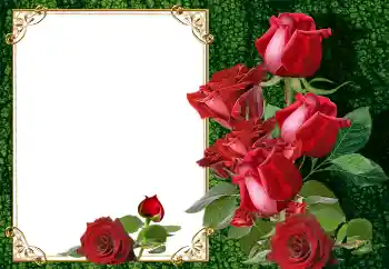 Fotoeffekt aus der Kategorie Fotorahmen für Frauen № 145105