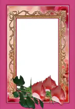 Fotoeffekt aus der Kategorie Fotorahmen für Frauen № 146366
