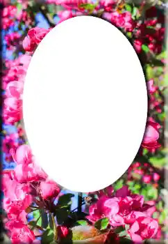 Fotoeffekt aus der Kategorie Fotorahmen für Frauen № 147641