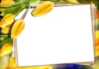Fotoeffekt aus der Kategorie Fotorahmen für Frauen № 147770