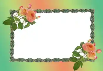 Fotoeffekt aus der Kategorie Fotorahmen für Frauen № 149186 Fotoeffekt aus der Kategorie Fotorahmen für Frauen № 149186