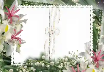 Fotoeffekt aus der Kategorie Fotorahmen für Frauen № 15027