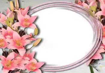 Fotoeffekt aus der Kategorie Fotorahmen für Frauen № 15032