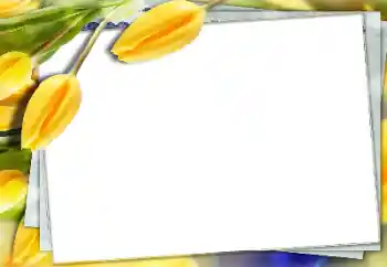 Fotoeffekt aus der Kategorie Fotorahmen für Frauen № 150591