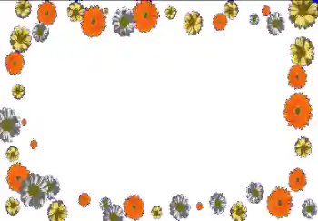 Fotoeffekt aus der Kategorie Fotorahmen für Frauen № 150630