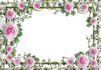 Fotoeffekt aus der Kategorie Fotorahmen für Frauen № 150641