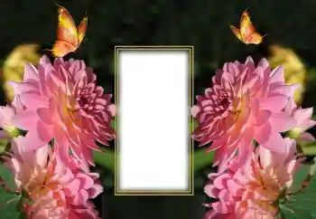 Fotoeffekt aus der Kategorie Fotorahmen für Frauen № 150649