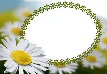 Fotoeffekt aus der Kategorie Fotorahmen für Frauen № 152966