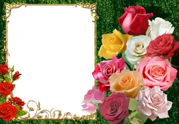Fotoeffekt aus der Kategorie Fotorahmen für Frauen № 154447