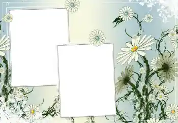 Fotoeffekt aus der Kategorie Fotorahmen für Frauen № 154786