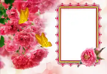 Fotoeffekt aus der Kategorie Fotorahmen für Frauen № 155792