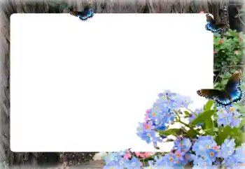 Fotoeffekt aus der Kategorie Fotorahmen für Frauen № 155873