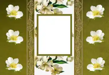 Fotoeffekt aus der Kategorie Fotorahmen für Frauen № 155880