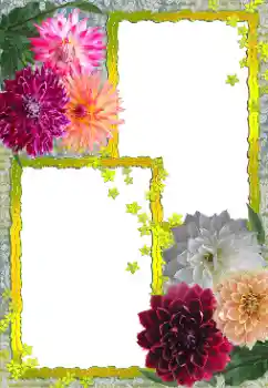 Fotoeffekt aus der Kategorie Fotorahmen für Frauen № 155888