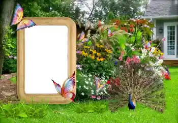 Fotoeffekt aus der Kategorie Fotorahmen für Frauen № 155936