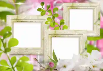 Fotoeffekt aus der Kategorie Fotorahmen für Frauen № 155999