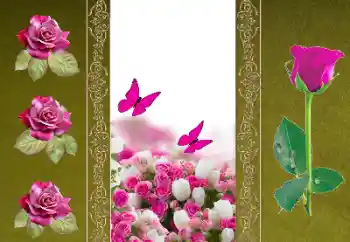 Fotoeffekt aus der Kategorie Fotorahmen für Frauen № 156050
