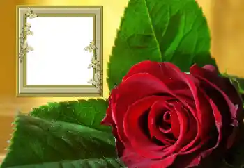 Fotoeffekt aus der Kategorie Fotorahmen für Frauen № 157088