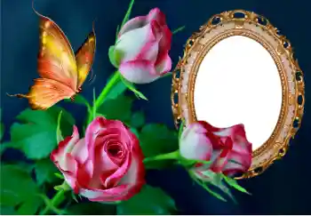 Fotoeffekt aus der Kategorie Fotorahmen für Frauen № 157089