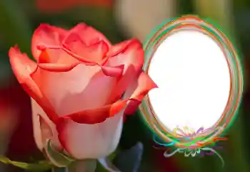 Fotoeffekt aus der Kategorie Fotorahmen für Frauen № 157090