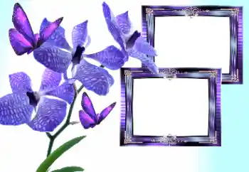 Fotoeffekt aus der Kategorie Fotorahmen für Frauen № 157133