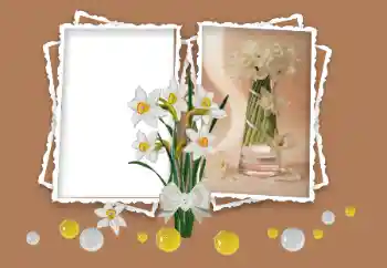 Fotoeffekt aus der Kategorie Fotorahmen für Frauen № 158348 Fotoeffekt aus der Kategorie Fotorahmen für Frauen № 158348