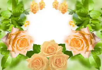 Fotoeffekt aus der Kategorie Fotorahmen für Frauen № 158383 Fotoeffekt aus der Kategorie Fotorahmen für Frauen № 158383