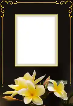 Fotoeffekt aus der Kategorie Fotorahmen für Frauen № 158432 Fotoeffekt aus der Kategorie Fotorahmen für Frauen № 158432