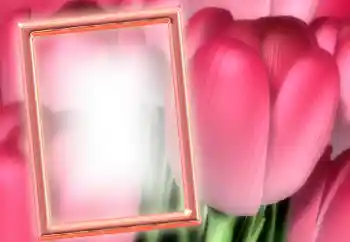 Fotoeffekt aus der Kategorie Fotorahmen für Frauen № 15899