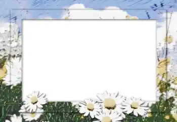 Fotoeffekt aus der Kategorie Fotorahmen für Frauen № 16006