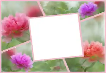 Fotoeffekt aus der Kategorie Fotorahmen für Frauen № 160554 Fotoeffekt aus der Kategorie Fotorahmen für Frauen № 160554