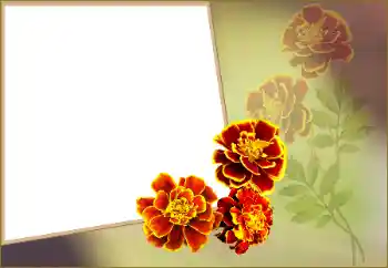 Fotoeffekt aus der Kategorie Fotorahmen für Frauen № 160560 Fotoeffekt aus der Kategorie Fotorahmen für Frauen № 160560