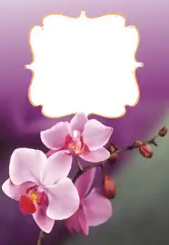 Fotoeffekt aus der Kategorie Fotorahmen für Frauen № 160699