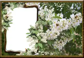 Fotoeffekt aus der Kategorie Fotorahmen für Frauen № 16069