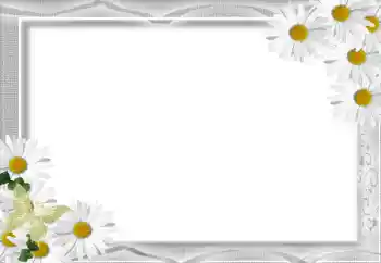 Fotoeffekt aus der Kategorie Fotorahmen für Frauen № 16071