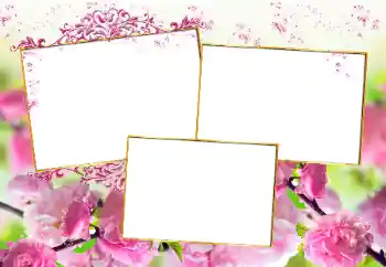 Fotoeffekt aus der Kategorie Fotorahmen für Frauen № 160777