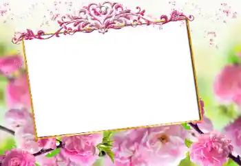 Fotoeffekt aus der Kategorie Fotorahmen für Frauen № 163327