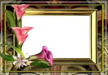 Fotoeffekt aus der Kategorie Fotorahmen für Frauen № 163528