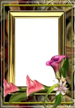 Fotoeffekt aus der Kategorie Fotorahmen für Frauen № 163529